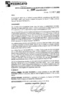 Vista preliminar de documento rgpeyt222966
