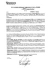 Vista preliminar de documento rgpeyt223004