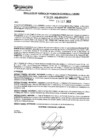 Vista preliminar de documento rgpeyt223119