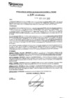 Vista preliminar de documento rgpeyt223184