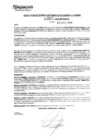 Vista preliminar de documento rgpeyt223217
