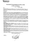 Vista preliminar de documento rgpeyt223241