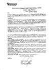 Vista preliminar de documento rgpeyt223269