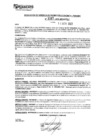 Vista preliminar de documento rgpeyt223267