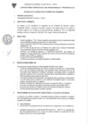 Vista preliminar de documento FORMATOS PARA CONVOCATORIAS DE PRACTICAS PRE PROFESIONALES  Y PROFESIONALES
