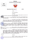 Vista preliminar de documento Resolucion Directoral N° 004304-2024