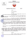 Vista preliminar de documento Resolucion Directoral N° 004306-2024
