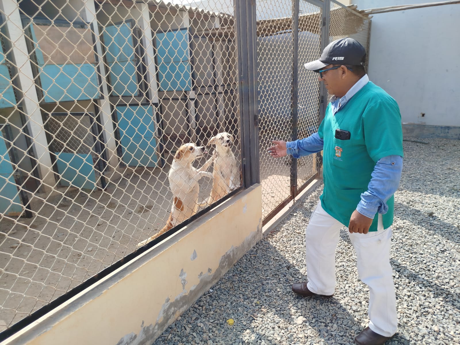 centro veterinario de la mpch 2