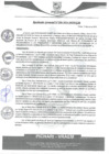Vista preliminar de documento rgm299