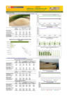 Vista preliminar de documento Boletín de abastecimiento y precio del ARROZ - 15/07/2024