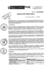 Vista preliminar de documento R.D.N.238-2024-INSN-DG