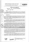 Vista preliminar de documento DIRECTIVA 006-2021 (4)_compressed