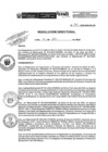 Vista preliminar de documento R.D.N.246-2024-INSN-DG