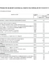 Vista preliminar de documento CMN-2024-Modificacion-29