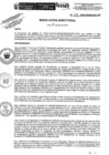 Vista preliminar de documento R.D.N.250-2024-INSN-DG