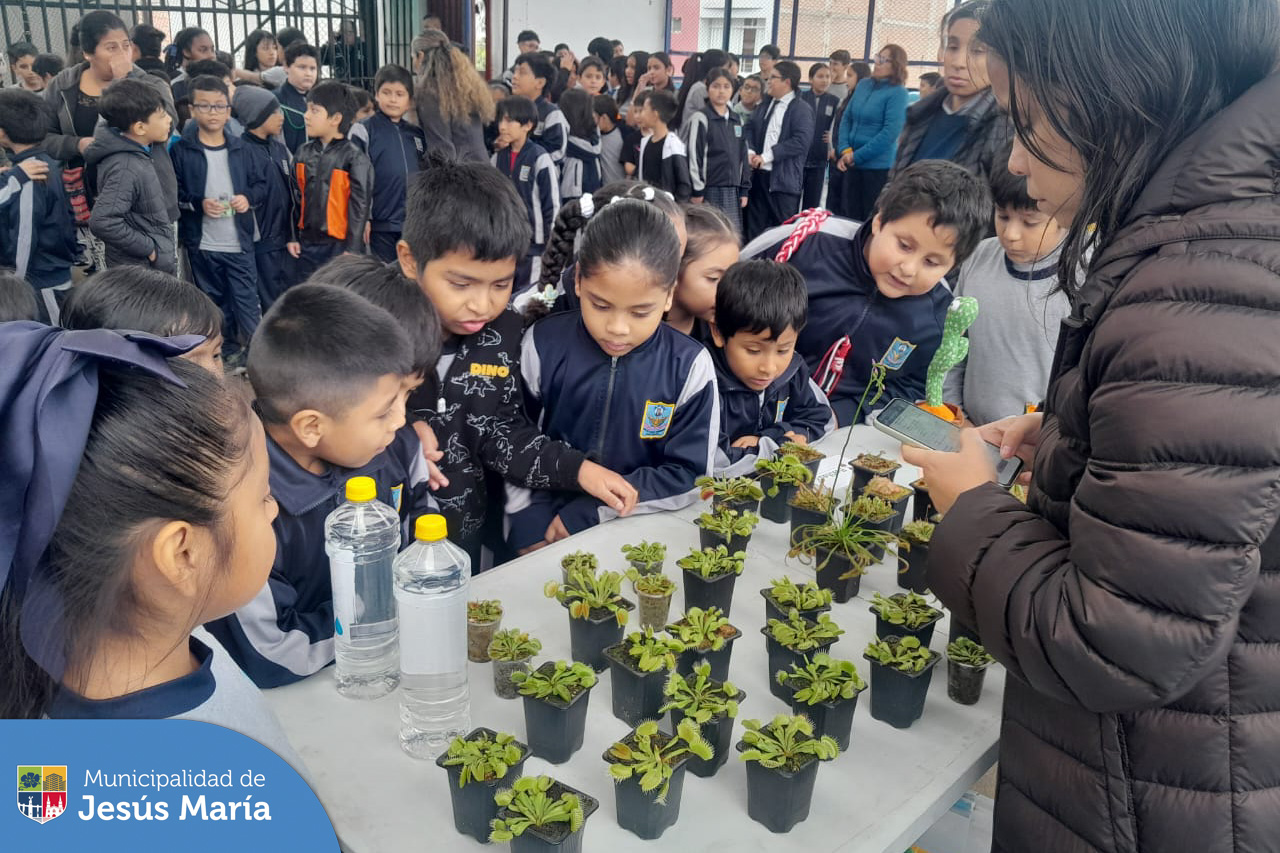 A través del programa EDUCCA, llegamos al nivel primaria del CAP FAP José Abelardo Quiñones, para brindar charlas sobre el cuidado al medio ambiente 🌎 y biodiversidad, además de capacitaciones sobre reciclaje ♻️ y juegos lúdicos con los escolares. 🧩 También instalamos un nuevo botellón para el acopio de botellas de plástico 🚮 y obsequiamos cartucheras y bolsas recicladas a los alumnos.
