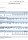 Vista preliminar de documento Anexo B-5 POI Anual con Programación Física y Financiera - Sunarp Sede Ica