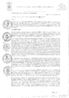 Vista preliminar de documento RES-135-2023