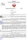 Vista preliminar de documento Resolucion Directoral N° 004317-2024