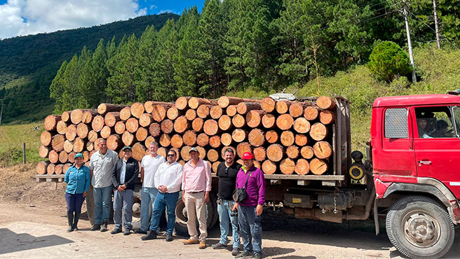 gobierno plantaciones