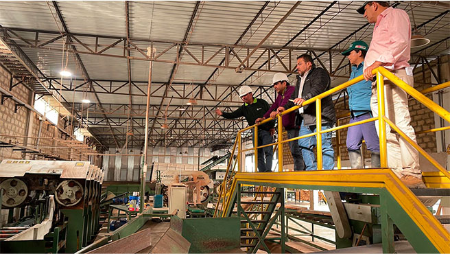 gobierno plantaciones