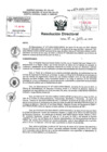 Vista preliminar de documento R.D. N° 274-2024-HNDAC-DG