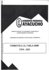 Vista preliminar de documento FORMATOS A,B Y TABLA ASME TUPA 2024