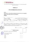 Vista preliminar de documento Formatos