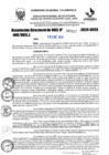 Vista preliminar de documento R-DN°117