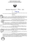 Vista preliminar de documento R-DN°118