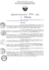 Vista preliminar de documento R-DN°119