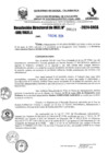 Vista preliminar de documento R-DN°121