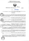 Vista preliminar de documento R-DN°130