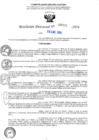 Vista preliminar de documento R-DN°151
