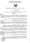 Vista preliminar de documento R-DN°154