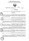 Vista preliminar de documento R-DN°155