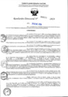 Vista preliminar de documento R-DN°156