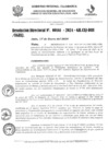 Vista preliminar de documento R-D N°161