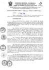 Vista preliminar de documento R-D N°163