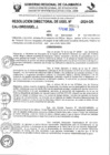 Vista preliminar de documento R-D N°171