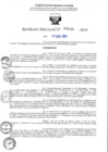 Vista preliminar de documento R-DN°190