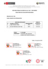 Vista preliminar de documento CAS - PROCESO  001[R][R][R]
