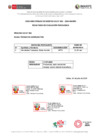 Vista preliminar de documento CAS - PROCESO  002[R][R][R]