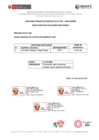Vista preliminar de documento CAS - PROCESO  003[R][R][R]