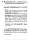 Vista preliminar de documento RD_088-2024-DPSC
