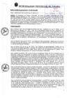 Vista preliminar de documento RA_176