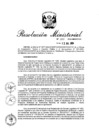 Vista preliminar de documento R. M. N° 204 - 2024