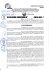Vista preliminar de documento R.D 1290-2024