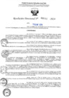 Vista preliminar de documento R-DN°142