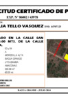 Vista preliminar de documento 161 - EMILIA TELLO VASQUEZ